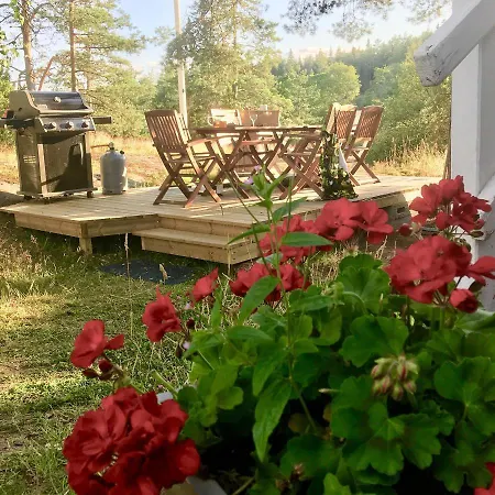 Sofia Barösund