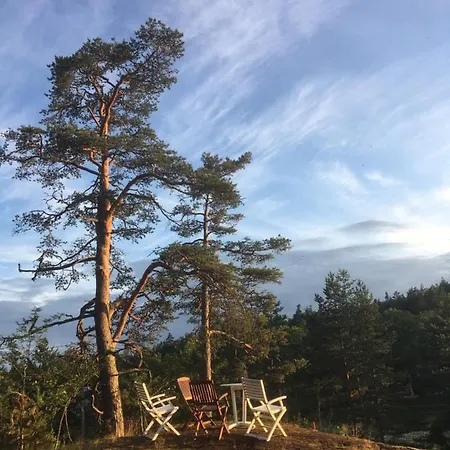 Sofia Baroesund Inkoo