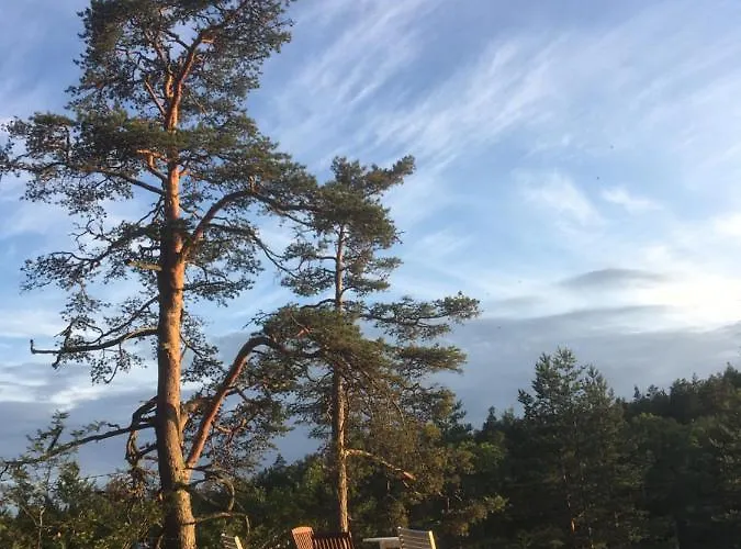 Sofia Barösund Inkoo